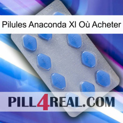 Pilules Anaconda Xl Où Acheter 21